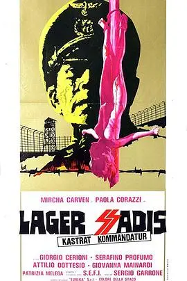 禁忌之恋？《纳粹军妓血泪史》揭秘二战阴影下的女性命运