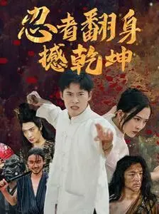 忍者翻身撼乾坤：动作大片中的英雄逆袭传奇