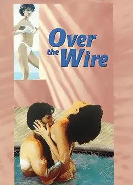 《窃情谋欲》：欲望迷宫中的致命游戏，情爱与背叛交织的惊悚悬疑