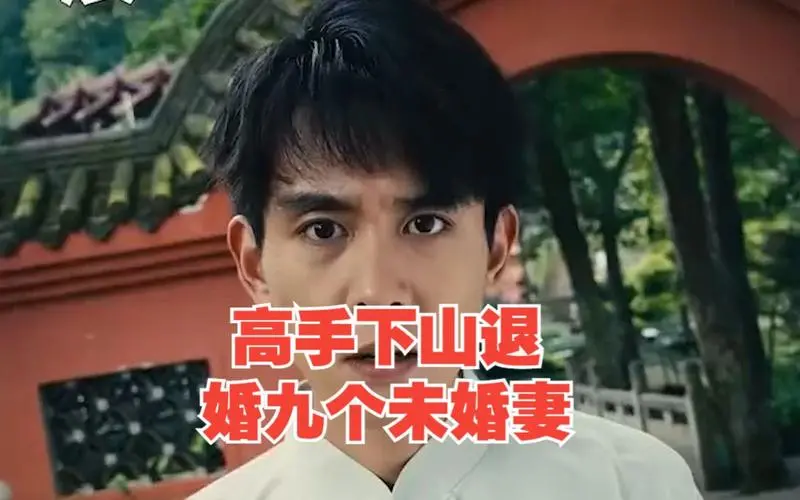 《高手下山退婚九个未婚妻》：都市爽文大乱炖，看主角如何逆袭人生！