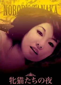 《性感野猫之夜》：火辣身材与激情碰撞！足球宝贝的狂野青春，肾上腺素飙升的夜晚！