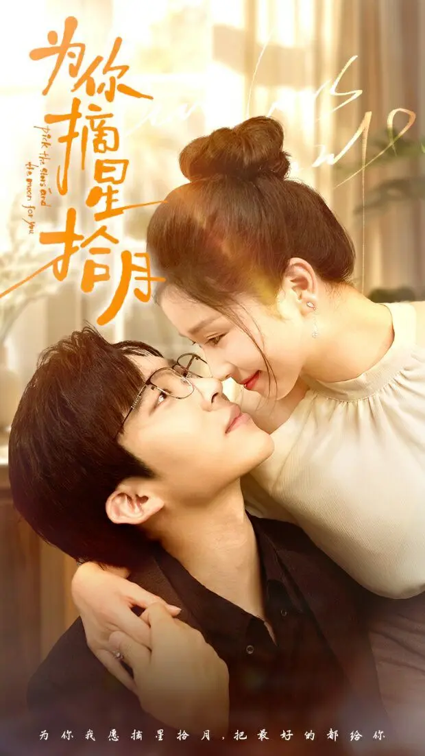 为你摘星拾月 海报