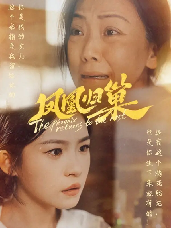《凤凰归巢》：一场跨越时空的现代都市爱情童话，探讨女性独立与自我救赎的深刻主题