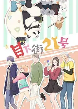 《目下街21号》：后宫番的天花板？还是纯爱战士的深海炼狱？